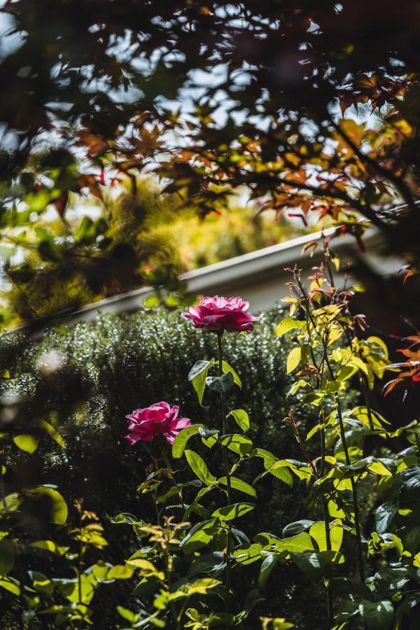 Daylesford Spa Accommodation 외부 사진