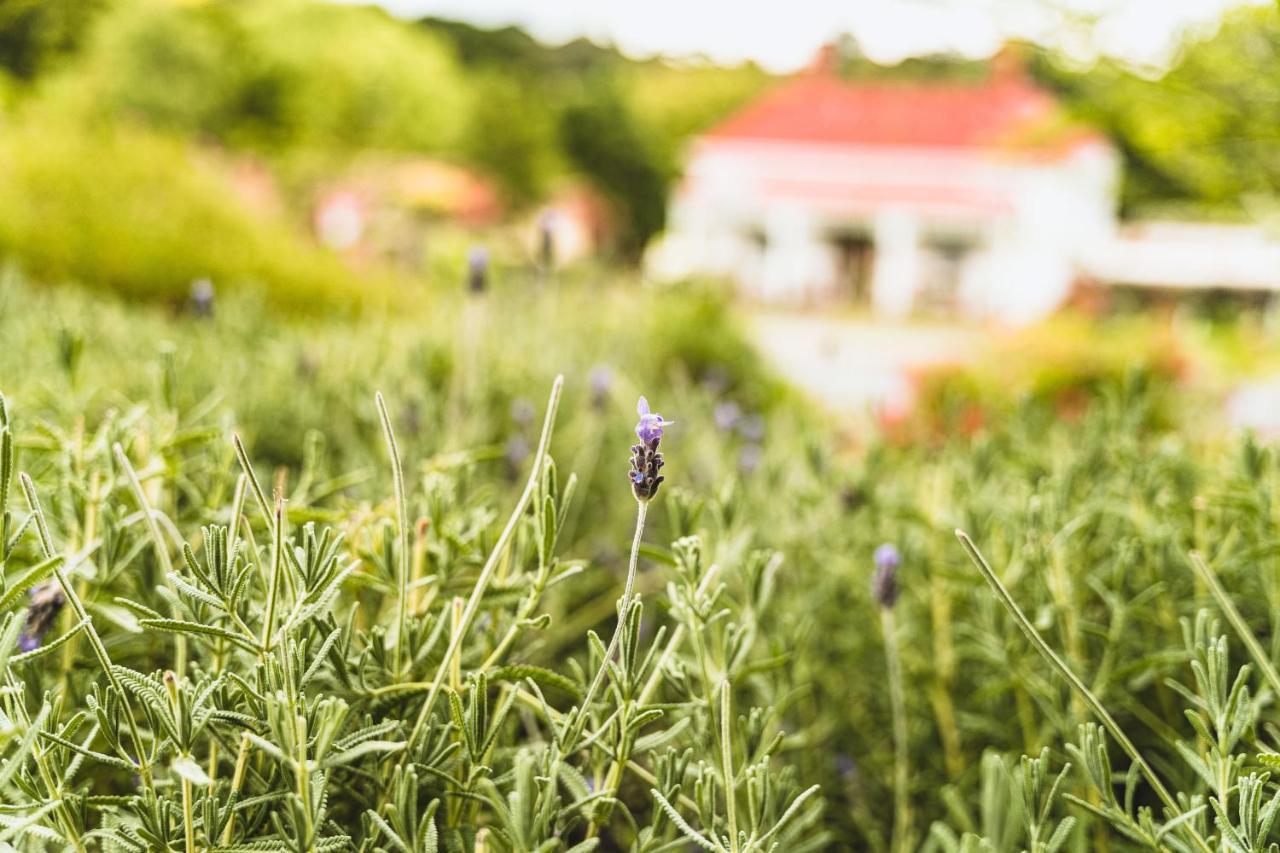 Daylesford Spa Accommodation 외부 사진